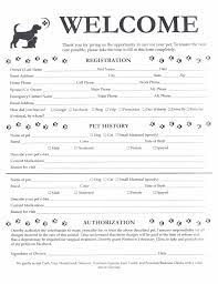 Dog Care Dog Daycare Pet Grooming Business Dog Daycare Business