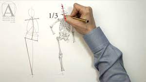 Human anatomy drawing drawing theory. Human Body Skeleton Anatomy Lesson For Artists Youtube
