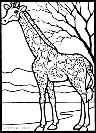 Includes images of baby animals, flowers, rain showers, and more. Giraffe In Africa Color Page