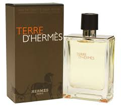 Hermes Terre D Hermes Pour Homme Eau De Parfum Terre D Hermes 100ml Men 110 00 Amour Fragrances Beauty Boutique 1555 Talbot Rd Lasalle Ont N9h 2n2 519 Eau De Toilette Hermes Perfume Mens Fragrance