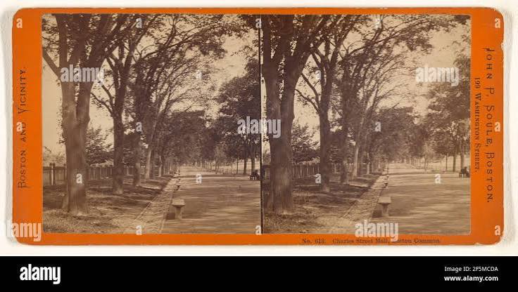 Late 19th century photograph - The Mall, Simla, Shimla, India Stock Photo - Alamy