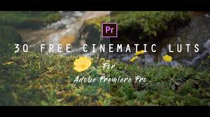 Check out our premiere pro luts selection for the very best in unique or custom, handmade pieces from our presets & photo filters shops. 30 Free Cinematic Luts For Color Grading In Adobe Premiere Pro