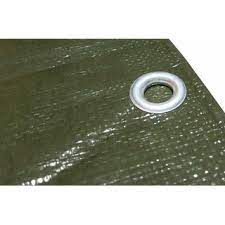 A piece of material used especially for protecting exposed objects or areas : Tarpaulin Green Blue 150g M 8x10m 63 02