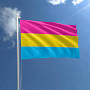 Pansexual flag from grpride.org