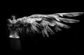 Black And White Angel Wings Aesthetic This This Is What Wings Are Supposed To Look Like Jesus Christ Angel Fallen Angel Angels And Demons