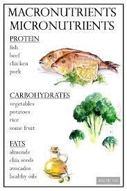 It also enables blood clotting. What Are Macronutrients And Micronutrients A Healthy Life For Me Micronutrients Macronutrients Healthy Eating Habits