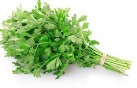 Tak hanya itu, tanaman parsley juga kerap digunakan dalam berbagai pengobatan tradisional dan studi menunjukkan bahwa mengonsumsi makanan kaya flavonoid dapat menurunkan risiko kanker. Akhi On Twitter 32 Petola Jangan Silap Dengan Peria