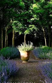 terracotta container cothay manor gardens jardins terre jarre