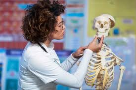 Phlebotomy is the act of drawing or removing blood from the circulatory system through a cut (incision) or puncture in order to obtain a sample for analysis and diagnosis. What Health Students Should Know About Medical Transcription