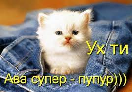 Картинки ух ты, здорово (22 фото) • Прикольные картинки и позитив