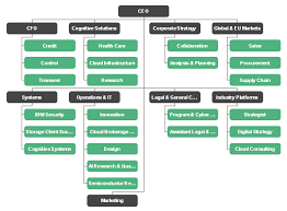 the ibm organizational chart refers to the corporate