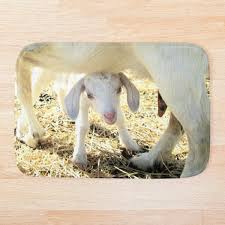 There's no need to give your newborn a bath every day. Saanen Goat Bath Mats Redbubble