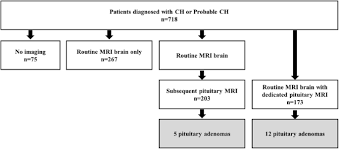 Exam online 203 spa gov my. 12th European Headache Federation Congress Jointly With 32nd National Congress Of The Italian Society For The Study Of Headaches The Journal Of Headache And Pain Full Text