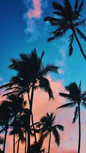 Iphone Wallpaper Beautiful Wallpapers For Mobile Phones Visit And Beautif Beautif In 2020 Tree Wallpaper Iphone Palm Trees Wallpaper Wallpaper Iphone Summer