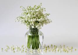 Lily of the valley bouquet. Bouquet Of Lily Of The Valley Flowers In A Vase Photograph By Ivora Obrazy