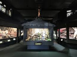 Gps navigasyon cihazınız için cape fear serpentarium, wilmington (kuzey carolina) coğrafi koordinatları ise ; Cape Fear Serpentarium Reopens After Repairs Wilmingtonbiz