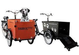 Das Ideale Hundetranport Lastenfahrrad Babboe Hund Fahrrad Hundetransport