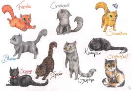 You color him with the brightest orange you have in your mixed box of crayons and color pencils and draw a yellow. Pencil Firestar Warrior Cat Drawings Cat Wallpapers