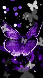 Beautiful Black And Purple Butterfly Pin By Brandy Corzette On Mariposa Butterfly Background Butterfly Painting Butterfly Wallpaper Backgrounds