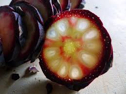 Zirbenzapfen Zirbenschnaps Ansetzen Fruit Watermelon Strawberry