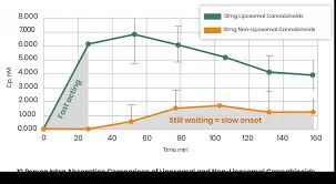 How To Increase Bioavailability Of Cbd