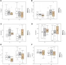 Image result for Crepidorhopalon tenuis