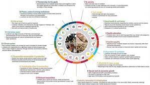 Frontiers Animal Welfare And The United Nations Sustainable Development Goals Veterinary Science