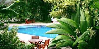 The choice of plants you are going to feature in the backyard landscaping is one important thing you need to focus on. Live In Ontario Here Are Some Tropical Landscaping Ideas