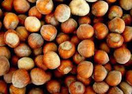 Risultati immagini per nocciole