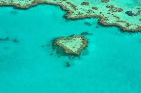 Im jahr 1981 wurde es von der unesco zum weltnaturerbe erklärt3 und wird auch als eines der sieben. 20 Fakten Zum Great Barrier Reef