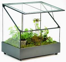 H Potter Terrarium Fairy Garden Display Glass Large Glass Terrarium Fairy Garden Displays Fairy Garden