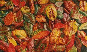 How To Perfect Autumn Colours Artists