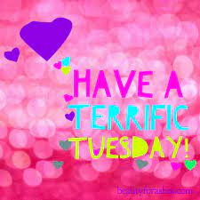Happy Tuesday May Your Day Be Terrific Terrifictuesday Dailygreeting Raiseurvibe Joy Happy Tuesday Quotes Tuesday Quotes Good Morning Happy Day Quotes