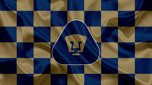 Maybe you would like to learn more about one of these? Pumas Unam Flag Cheap Online