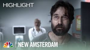 Dr. Max Goodwin, New Amsterdam's Heartthrob!