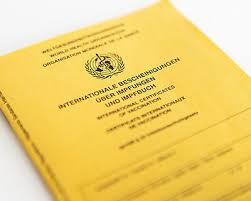 Apotheker Alarmiert Jeder Zweite Risikopatient Will Sich Nicht Gegen Grippe Impfen Lassen Abda