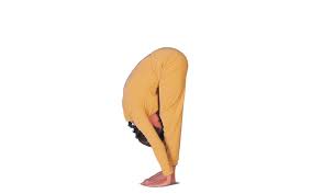 Also named 'the king of yoga' by many great saints, it is also popular by the name sun salutation, especially in the west. Surya Namaskara
