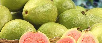 Is It Safe To Eat Guava During Pregnancy India Parenting
