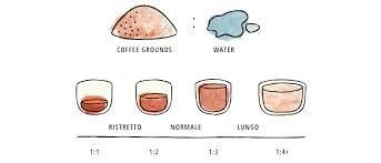 Since the golden coffee ratio is built on a 6 ounce cup, things can get tricky when you just want to make 1 8 ounce cup. Brew Ratios Around The World La Marzocco Home