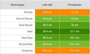 Animasi dari kecepatan cahaya, sangat cepat di bumi. Perkembangan Berat Badan Bayi Dan Ketinggian Mereka Mengikut Umur