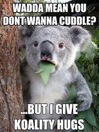 Wanna Cuddle Memes