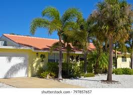 Über 7 millionen englischsprachige bücher. Beautiful Florida Ranch Style House Palm Stock Photo Edit Now 797857657