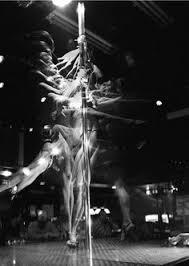 Our male strippers are available for parties all over the united states. Stripperhood
