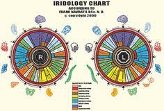 81 best iridology images iridology chart alternative