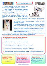 facebook grubuma katilarak iskender07 ilkokul etkinlikleri ve kanalima abone olarak calismalarimi takip edebilirsiniz ayrik matematik okuma matematik