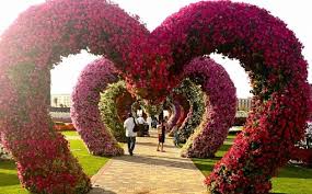 Dubai Miracle Garden The Most Attractive Garden In The World Miracle Garden Dubai Travel Dubai