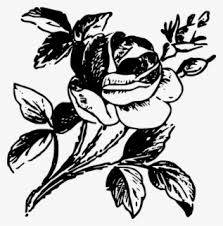 Hubungi pengunggah untuk mendapatkan lebih banyak manfaat seperti lisensi bisnis, penyesuaian yang dipersonalisasi, resolusi tinggi yang lebih baik, berbagai format file. Spiral Plant Vektor Bunga Hitam Putih Png Free Transparent Clipart Clipartkey