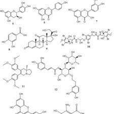 Image result for Landolphia incerta