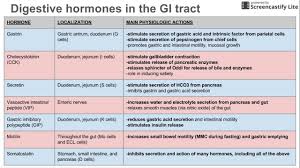 Digestive Hormones Of The Gi Tract