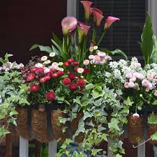 These materials will allow water to evaporate faster, and help keep the soil environment more suitable. How To Plant A Colorful Window Box The Home Depot